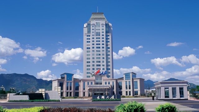 东磁电解向日葵视频色板一级代理商